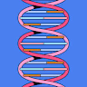 Meet your Posher, Skylar